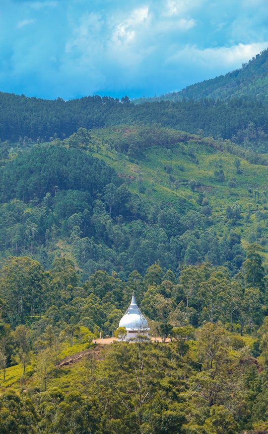 white and brown house on green forest during daytime in Gampola Sri Lanka