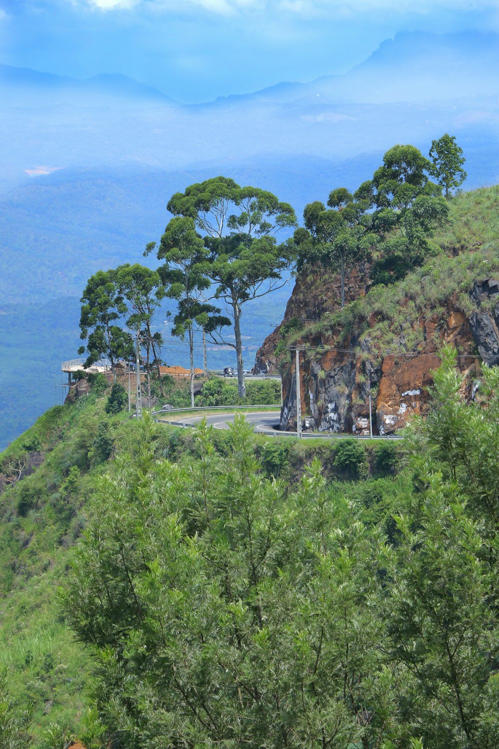 green trees on mountain near body of water during daytime