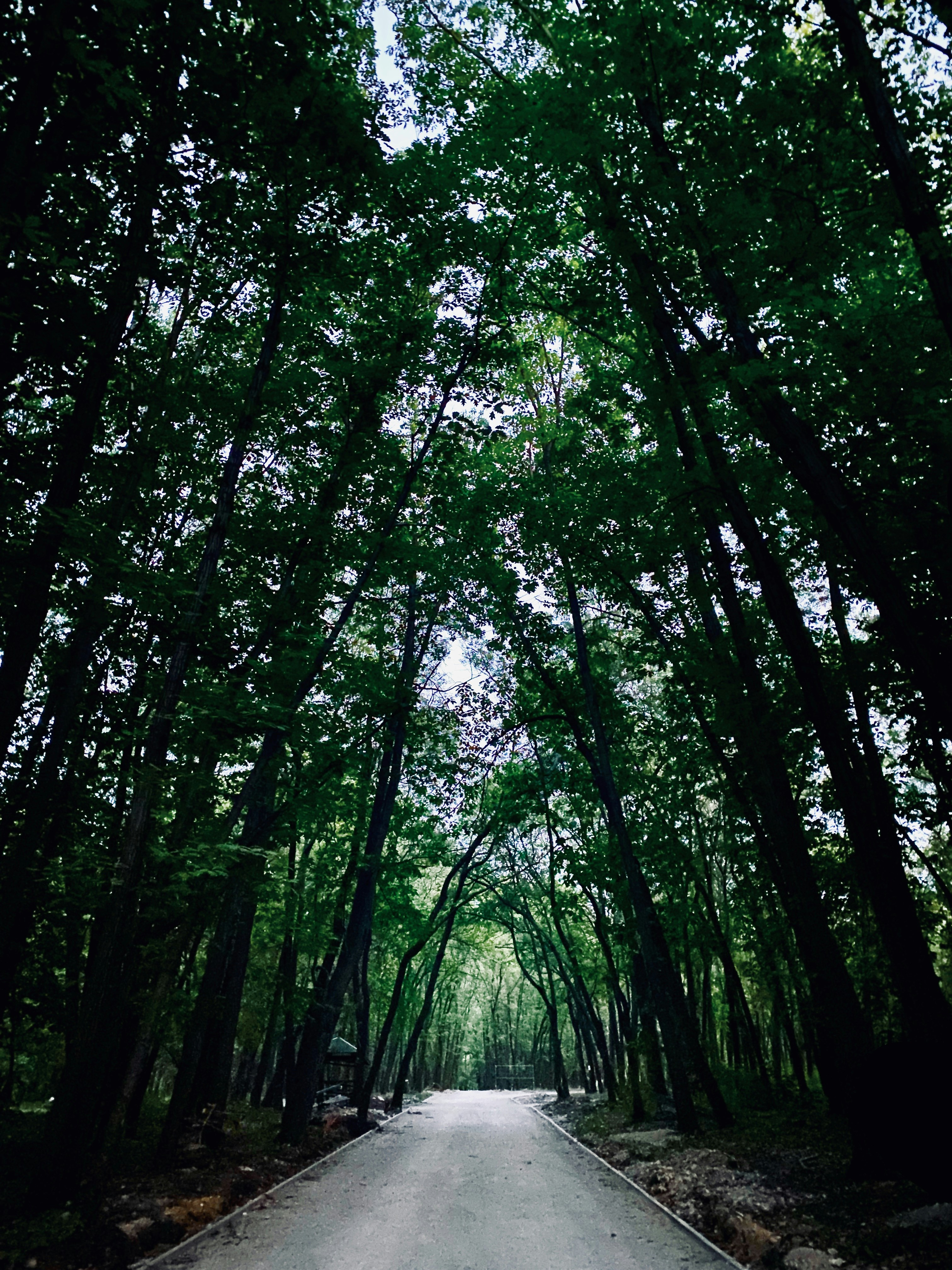 Photo by sibinovicivana