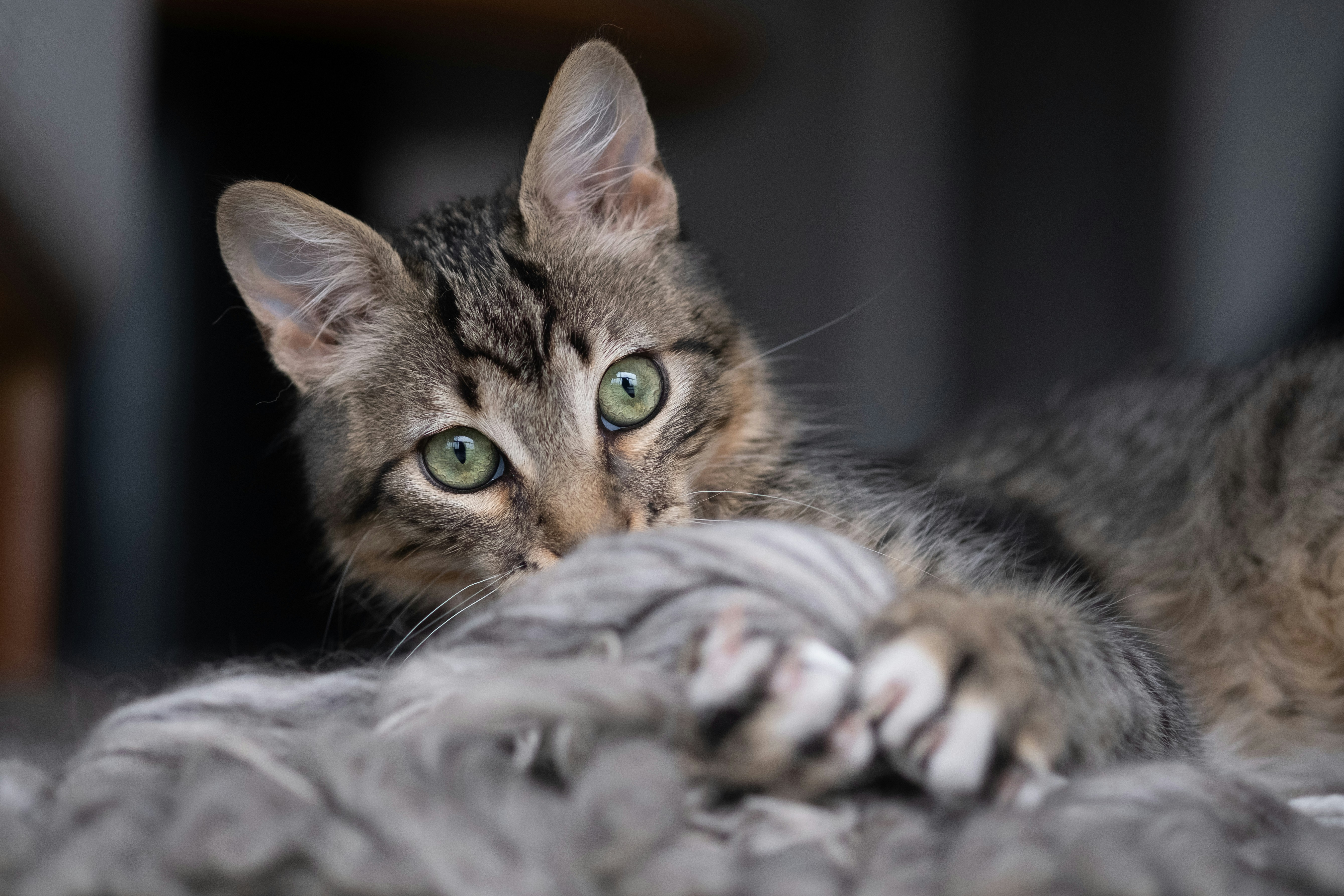 Photo by correliebre