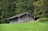 A rustic wooden shed stands in a lush green meadow, surrounded by dense forest. The structure is weathered, with visible signs of age on its wooden exterior. Tall grass and wild plants grow around the base of the shed, indicating a natural and untouched setting. The backdrop of towering trees adds to the secluded and serene atmosphere.