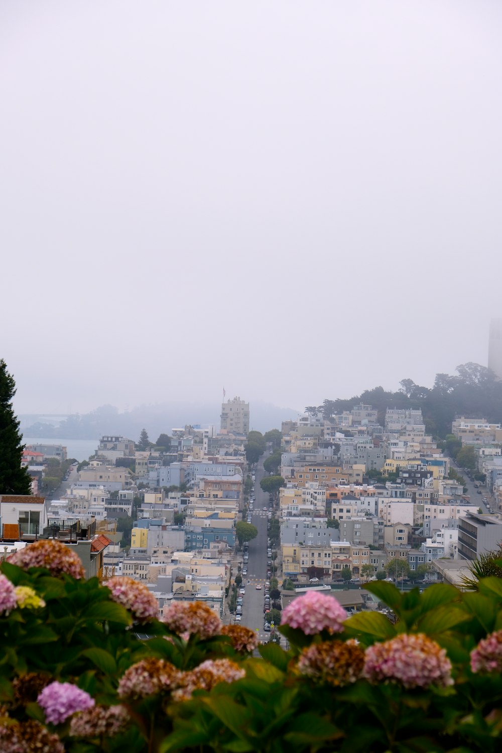 city with high rise buildings under white sky during daytime