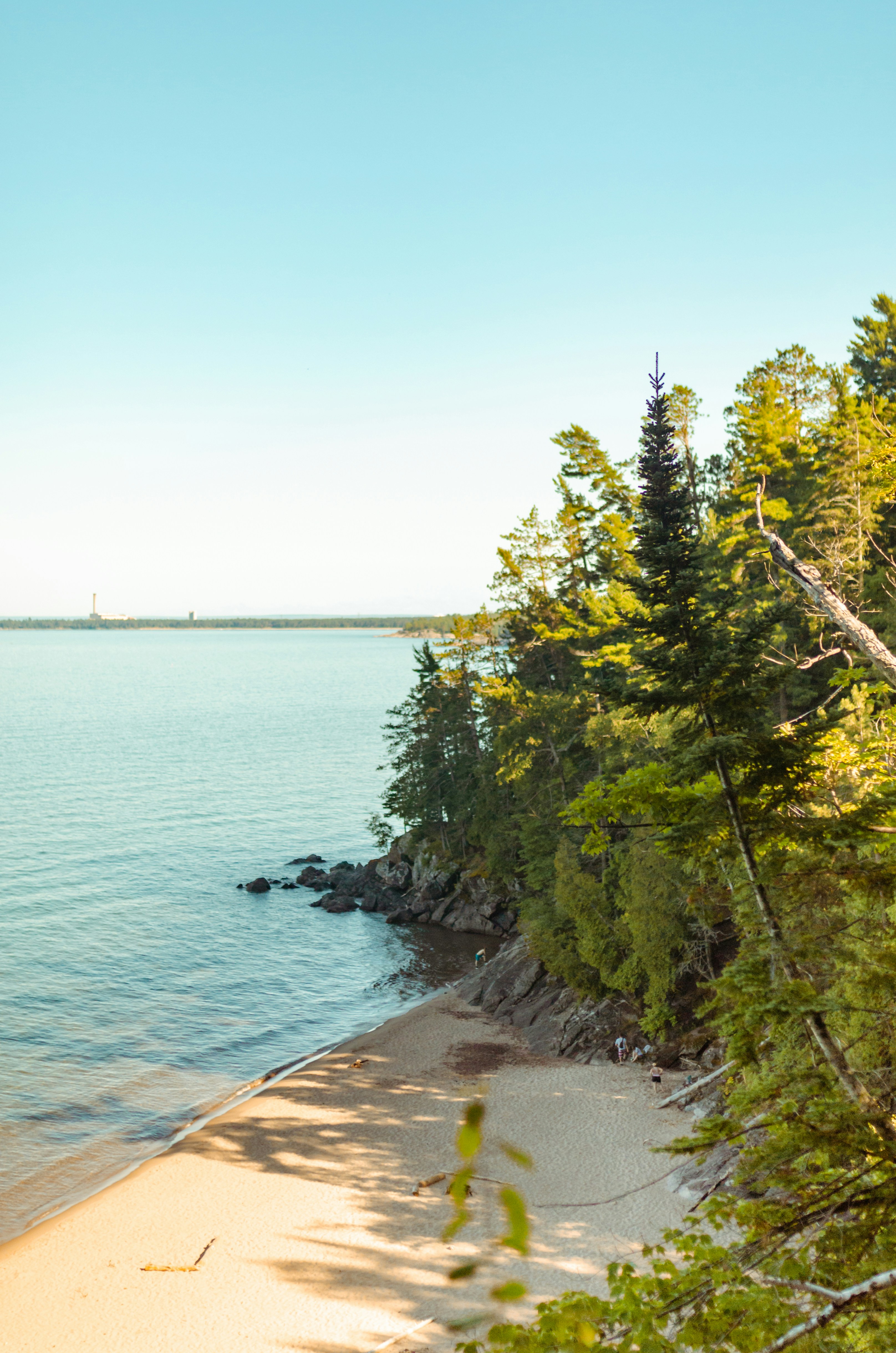 green trees near body of water during daytime
