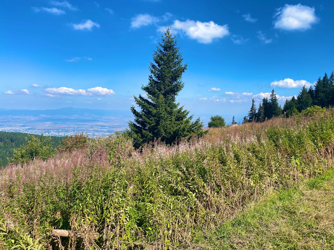 Highland photo spot Sofia Malyovitsa