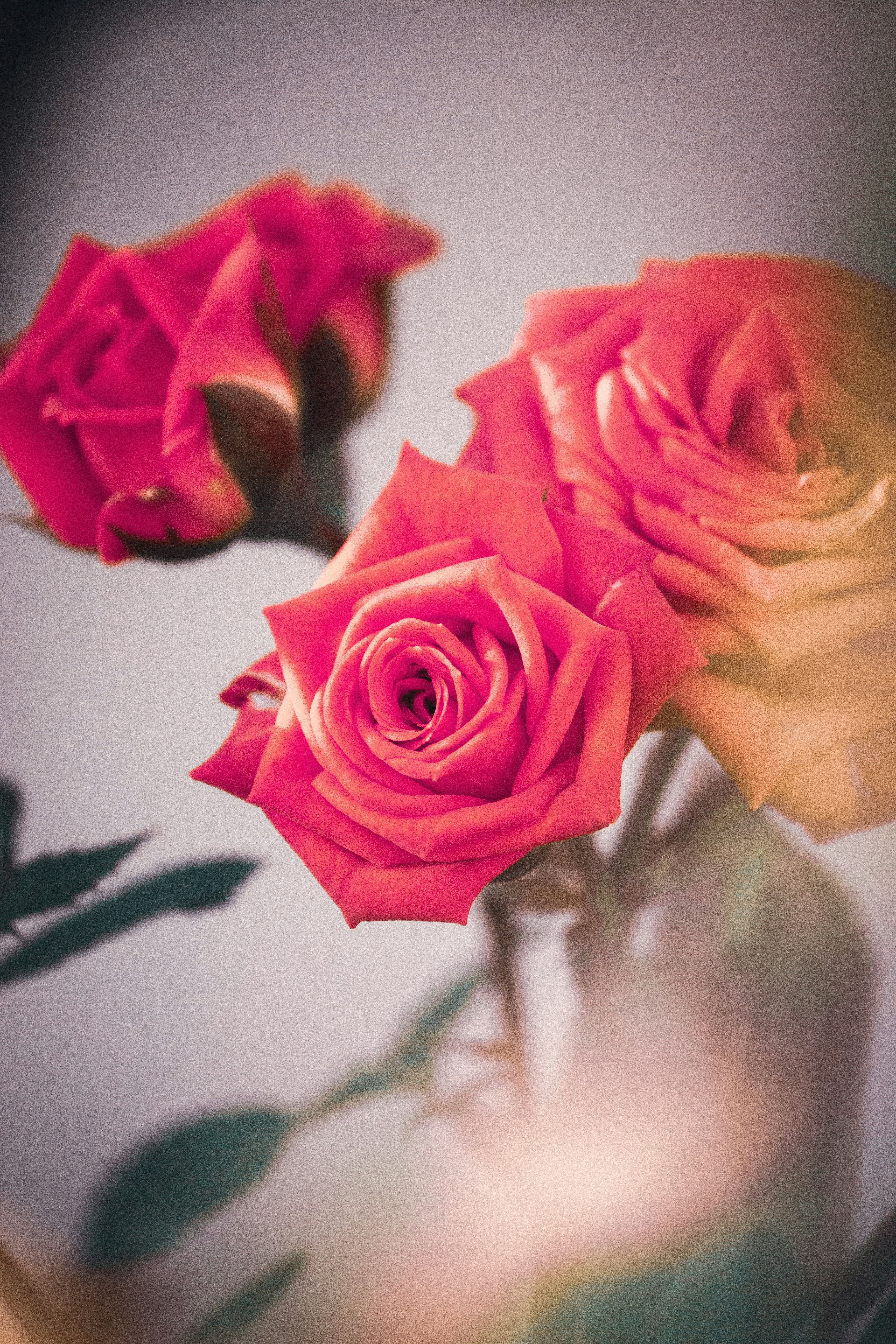 Photo by thilak_cm212