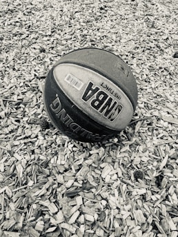 A basketball lies on a surface covered with wood chips. The ball displays NBA branding and appears worn, suggesting outdoor use. The background consists of a textured layer of small wooden pieces.