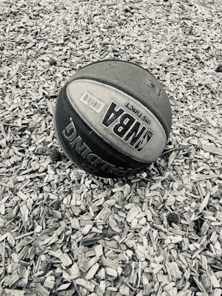 A basketball lies on a surface covered with wood chips. The ball displays NBA branding and appears worn, suggesting outdoor use. The background consists of a textured layer of small wooden pieces.