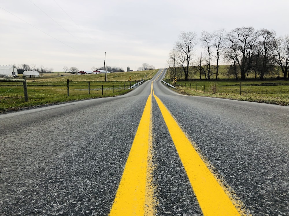 gray asphalt road between bare trees under white sky during daytime