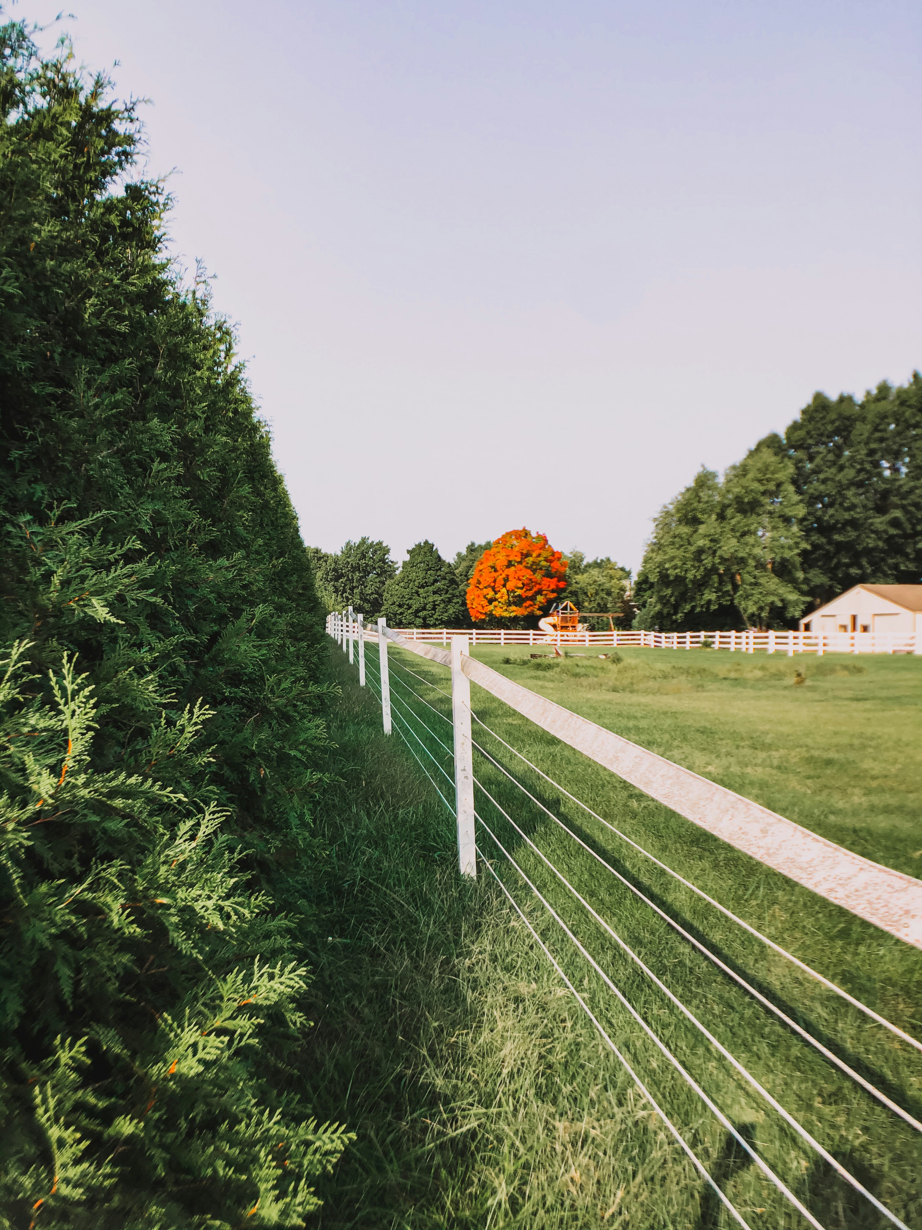 Photo by framesforyourheart