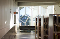 Best Quiet Cafes to Study in Calgary Without Getting Kicked Out