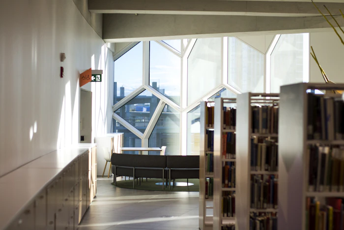 Best Quiet Cafes to Study in Calgary Without Getting Kicked Out