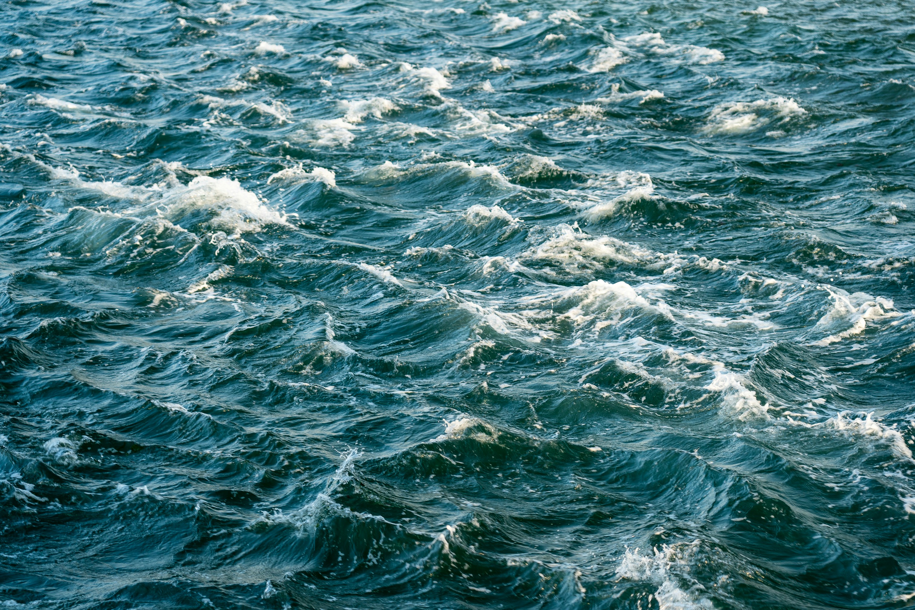 Water Damage Restoration Avondale, AZ
