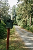 A rustic mailbox painted green is mounted on a red post, displaying the numbers 4230. It stands beside a long, gravel driveway that winds through a lush, forested area. Tall trees and dense foliage line the road, casting dappled shadows on the ground.