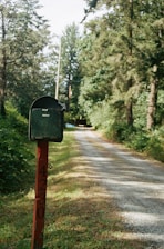 A rustic mailbox painted green is mounted on a red post, displaying the numbers 4230. It stands beside a long, gravel driveway that winds through a lush, forested area. Tall trees and dense foliage line the road, casting dappled shadows on the ground.