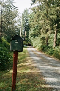 A rustic mailbox painted green is mounted on a red post, displaying the numbers 4230. It stands beside a long, gravel driveway that winds through a lush, forested area. Tall trees and dense foliage line the road, casting dappled shadows on the ground.