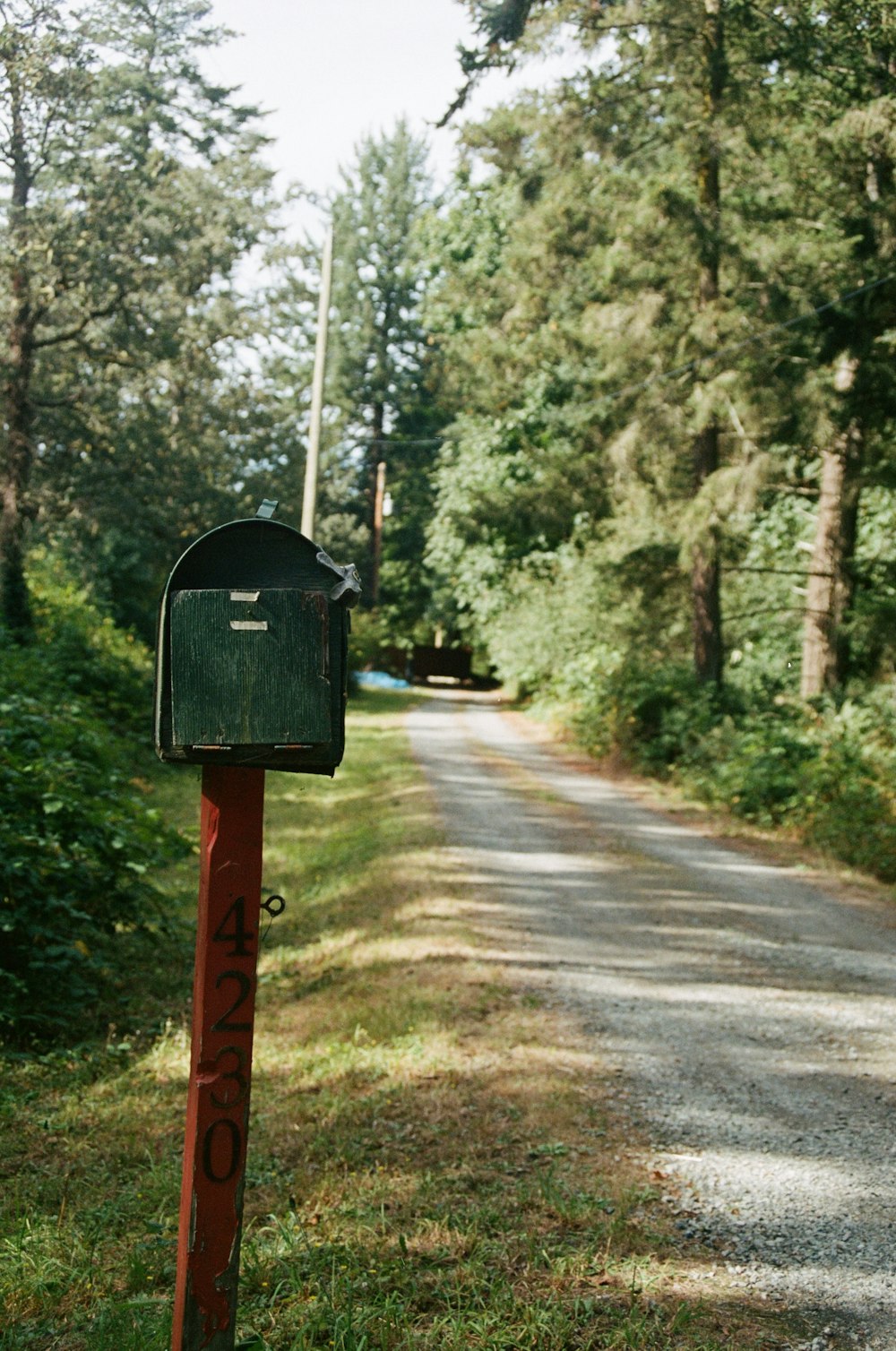 black and red road sign near trees during daytime