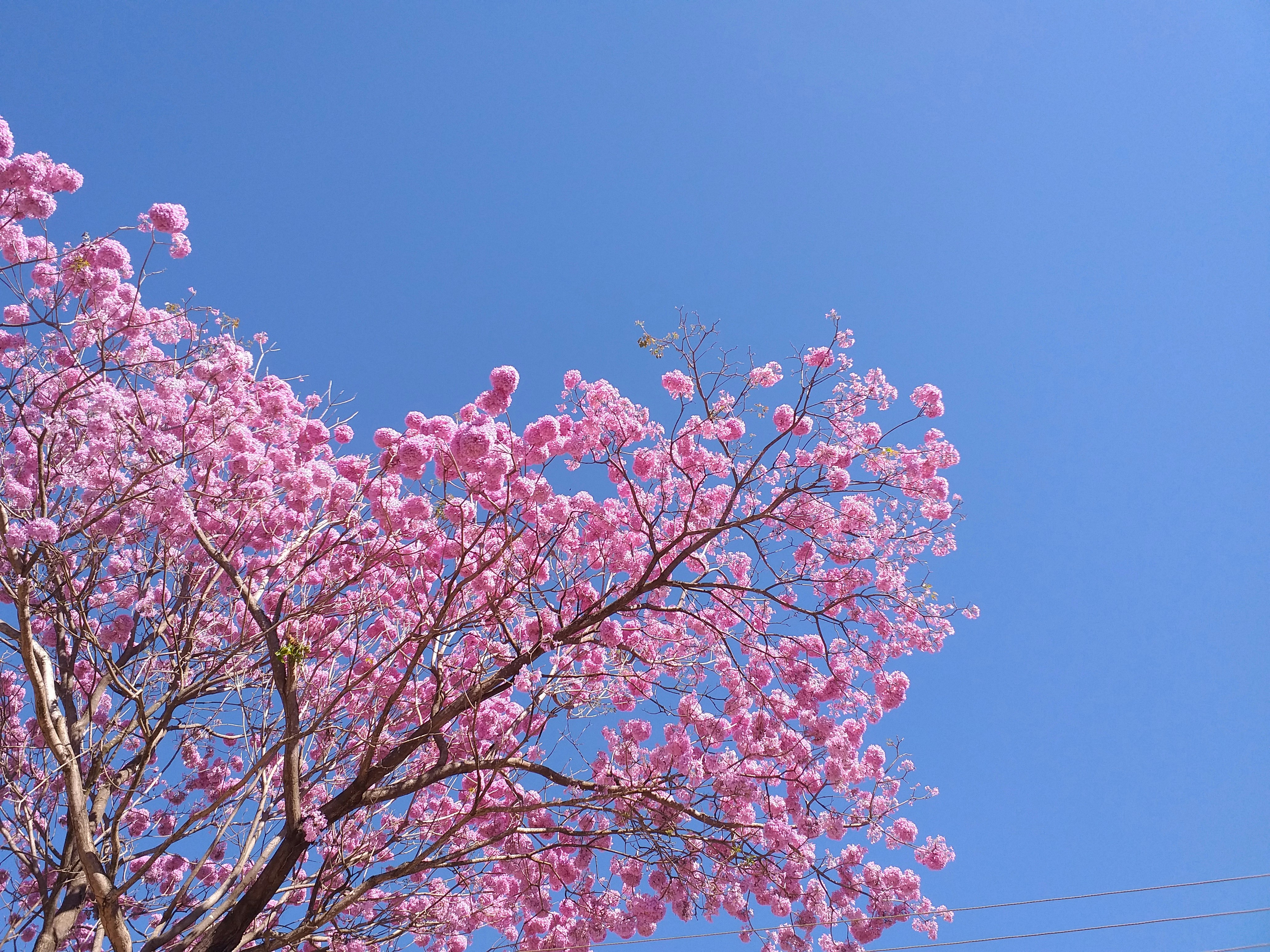 Photo by digitalrbelo