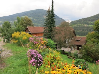 A farmhouse garden blooming with colorful flowers and mountain backdrop.