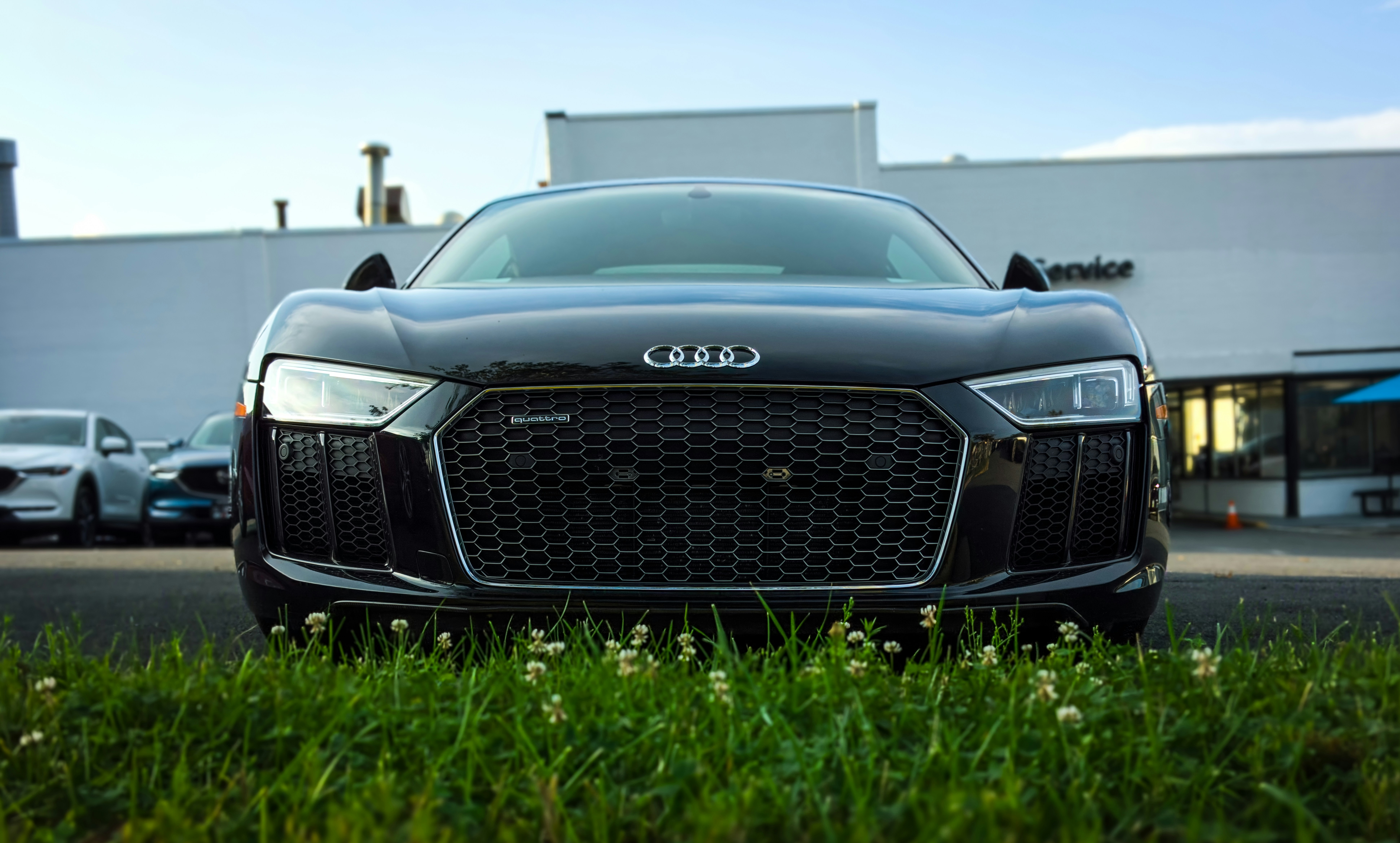 Photo by obionyeador