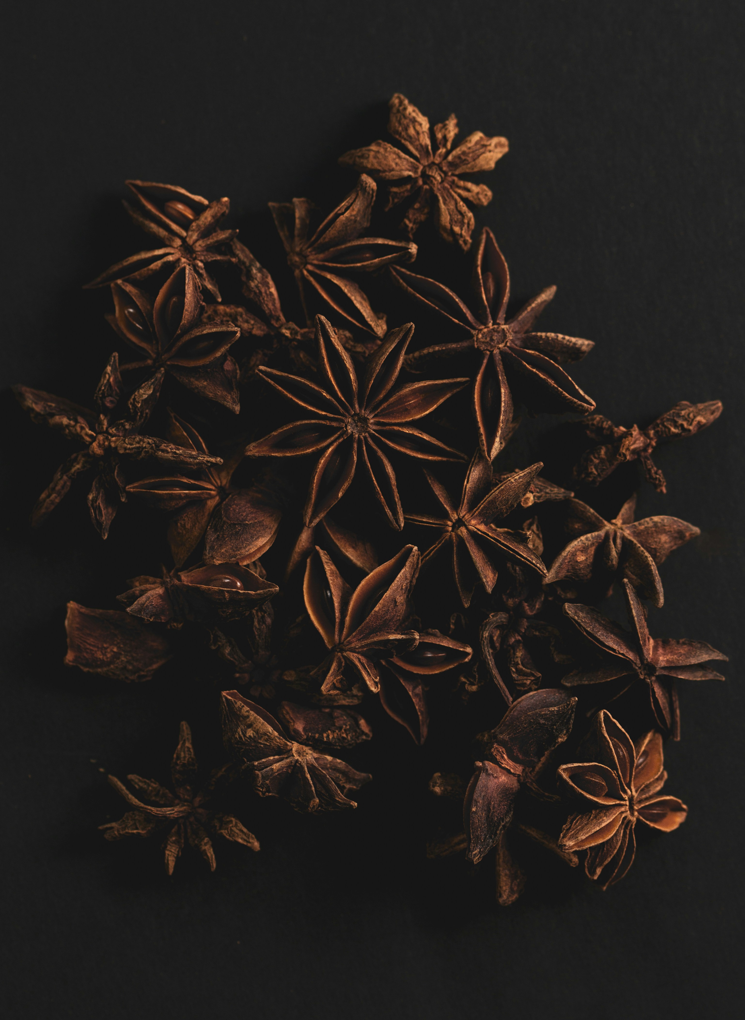 Anise