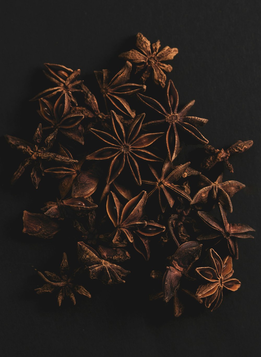 brown leaves on black surface