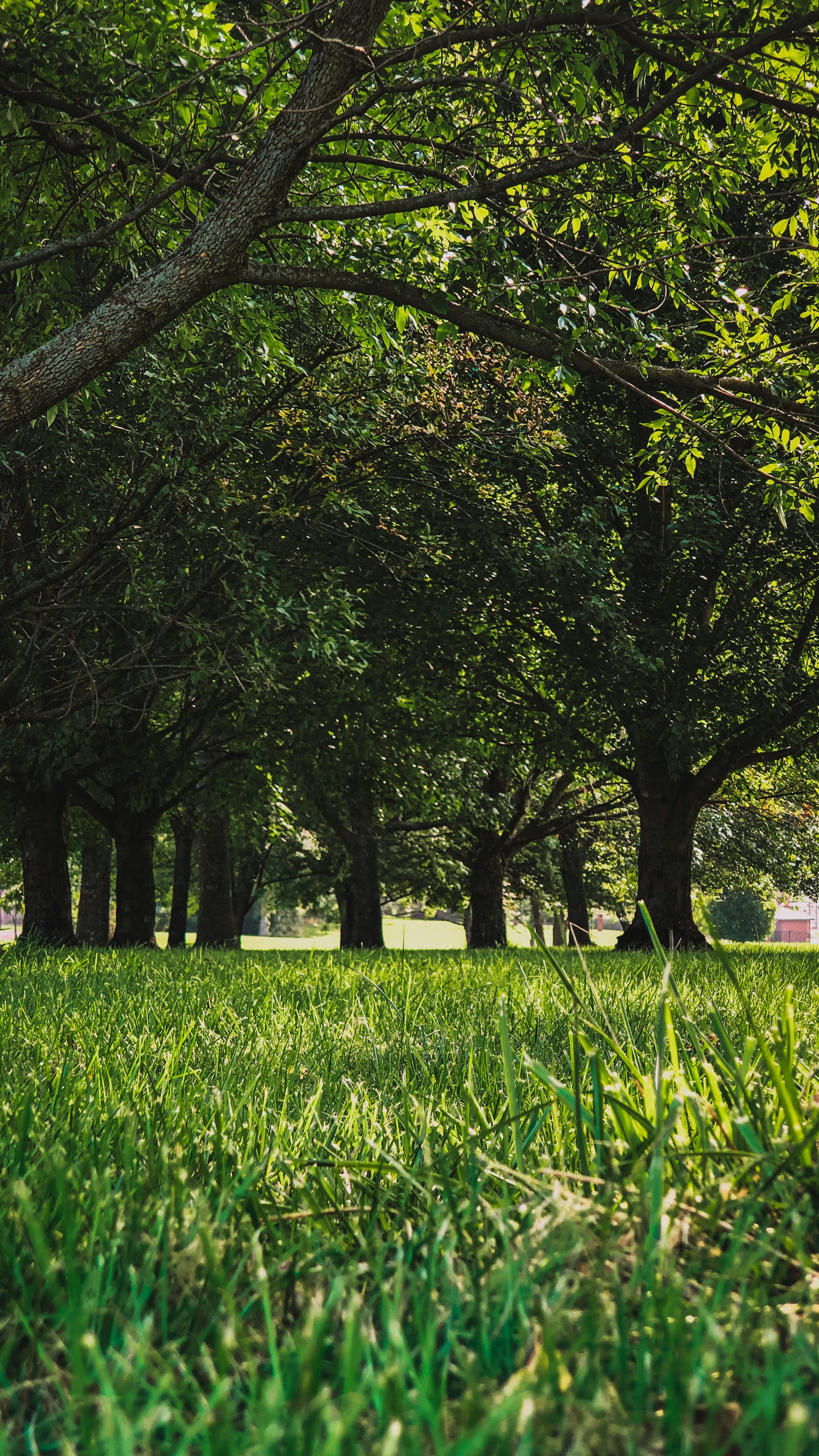 Photo by framesforyourheart