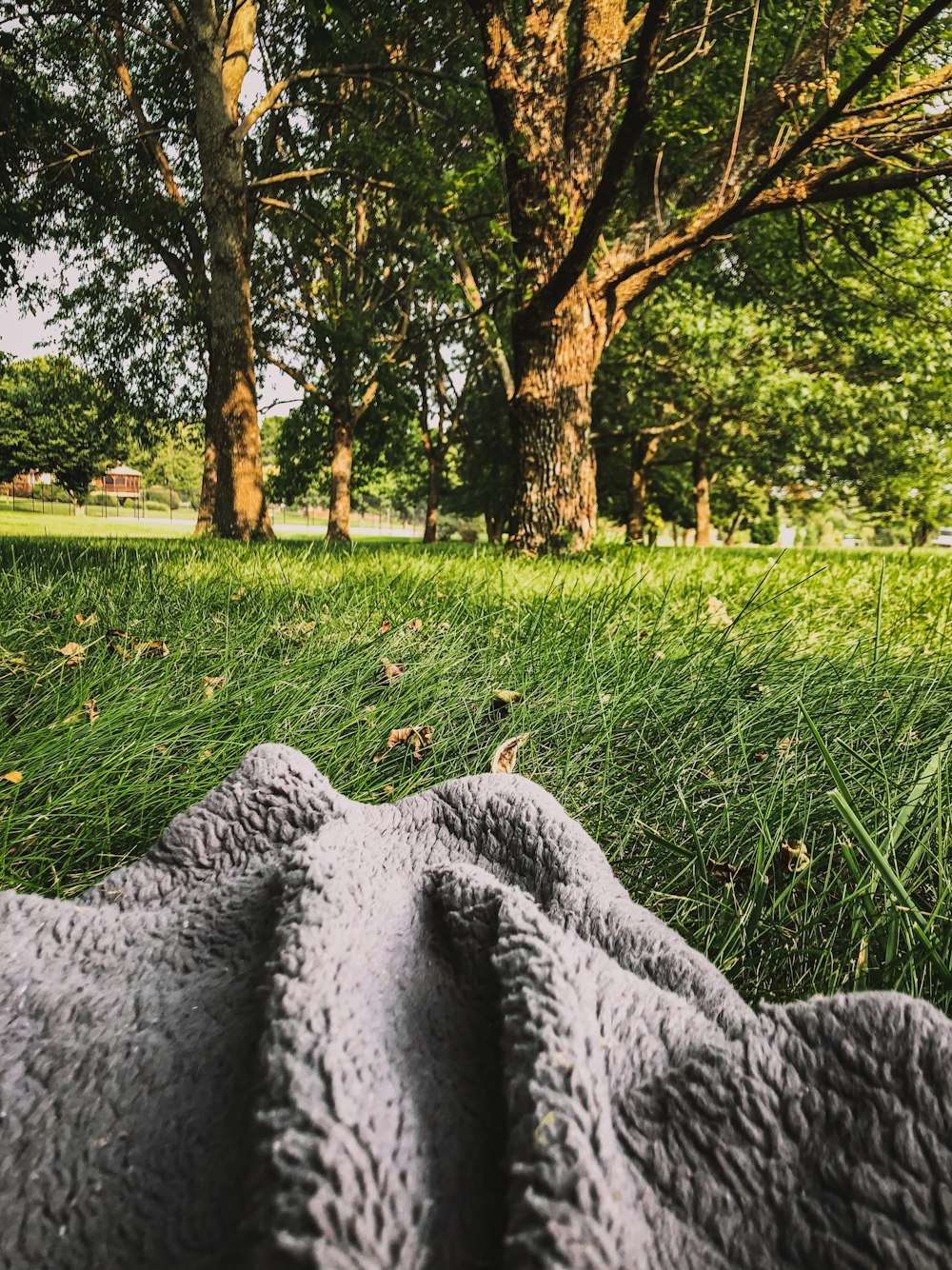 textil gris sobre campo de hierba verde