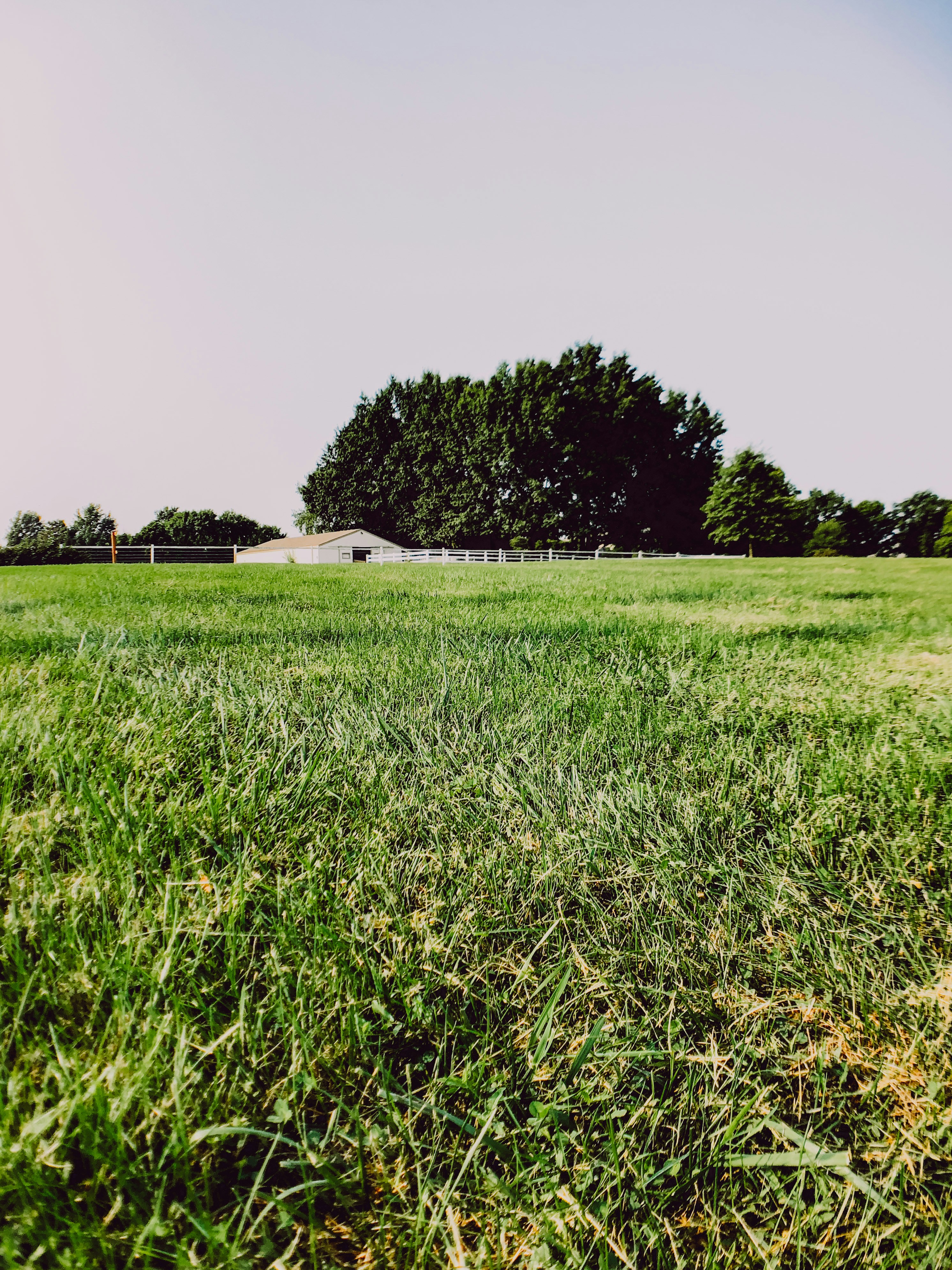 Photo by framesforyourheart