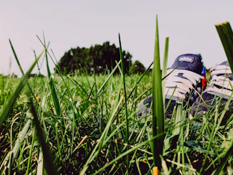 Close-up of running shoes on a trail surrounded by fresh green grass, symbolizing active lifestyle.