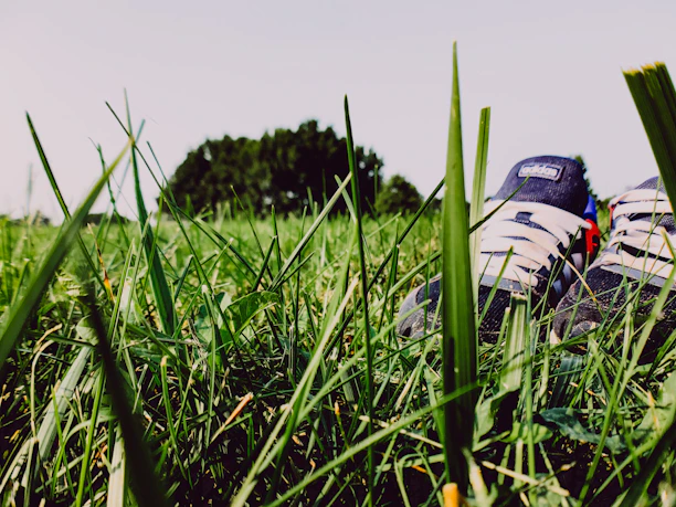Close-up of running shoes on a trail surrounded by fresh green grass, symbolizing active lifestyle.