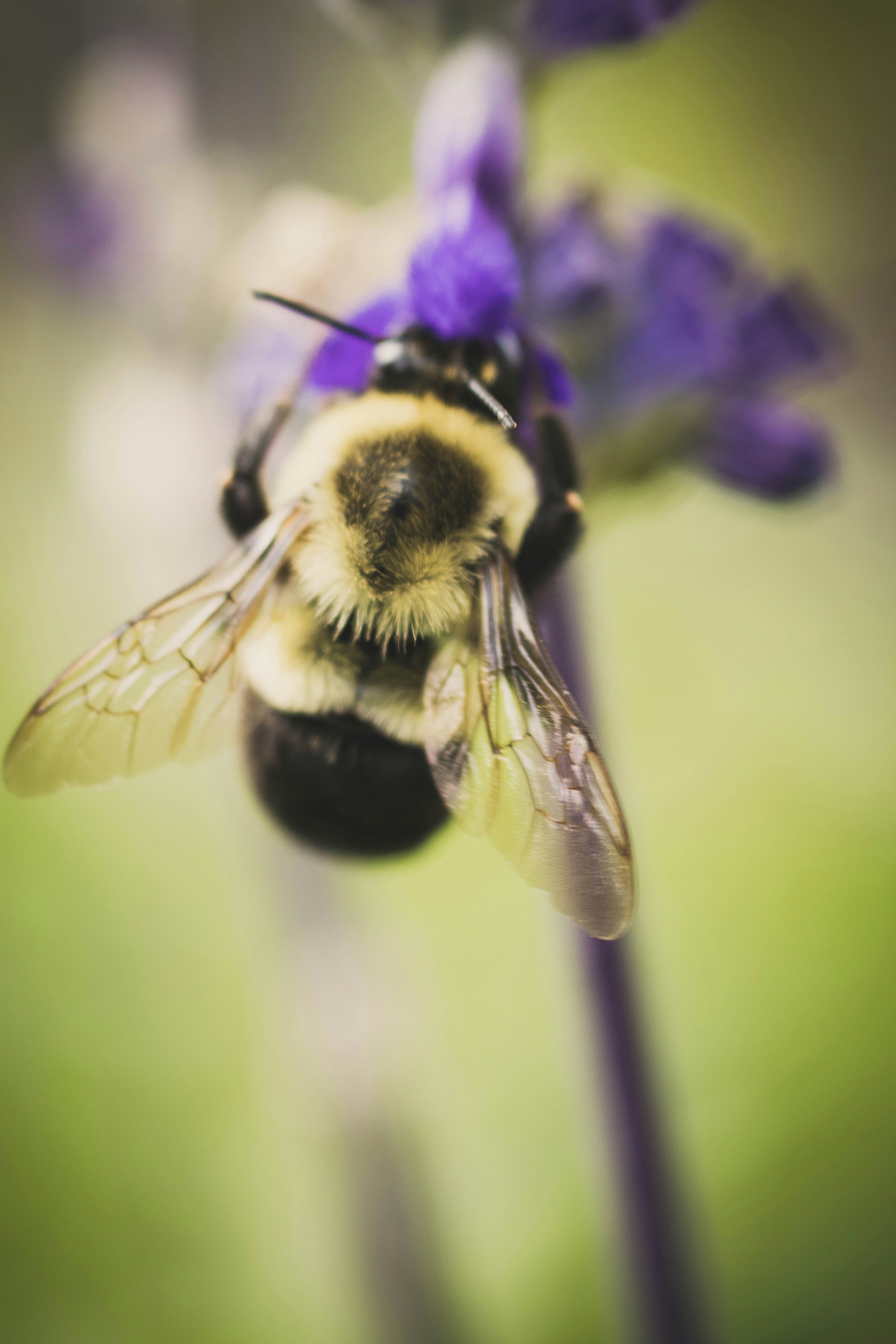 Photo by chrislevn07