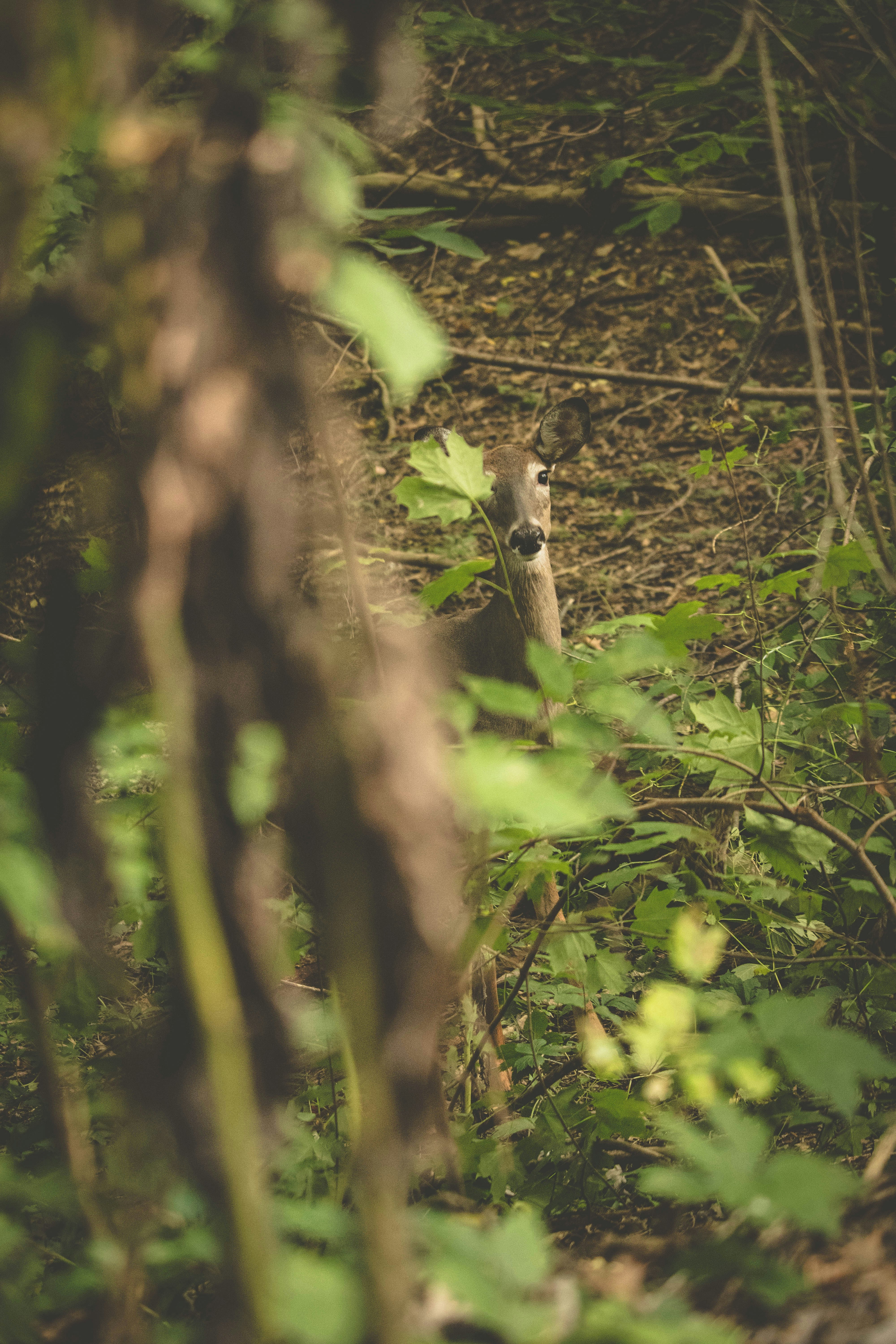 Photo by chrislevn07