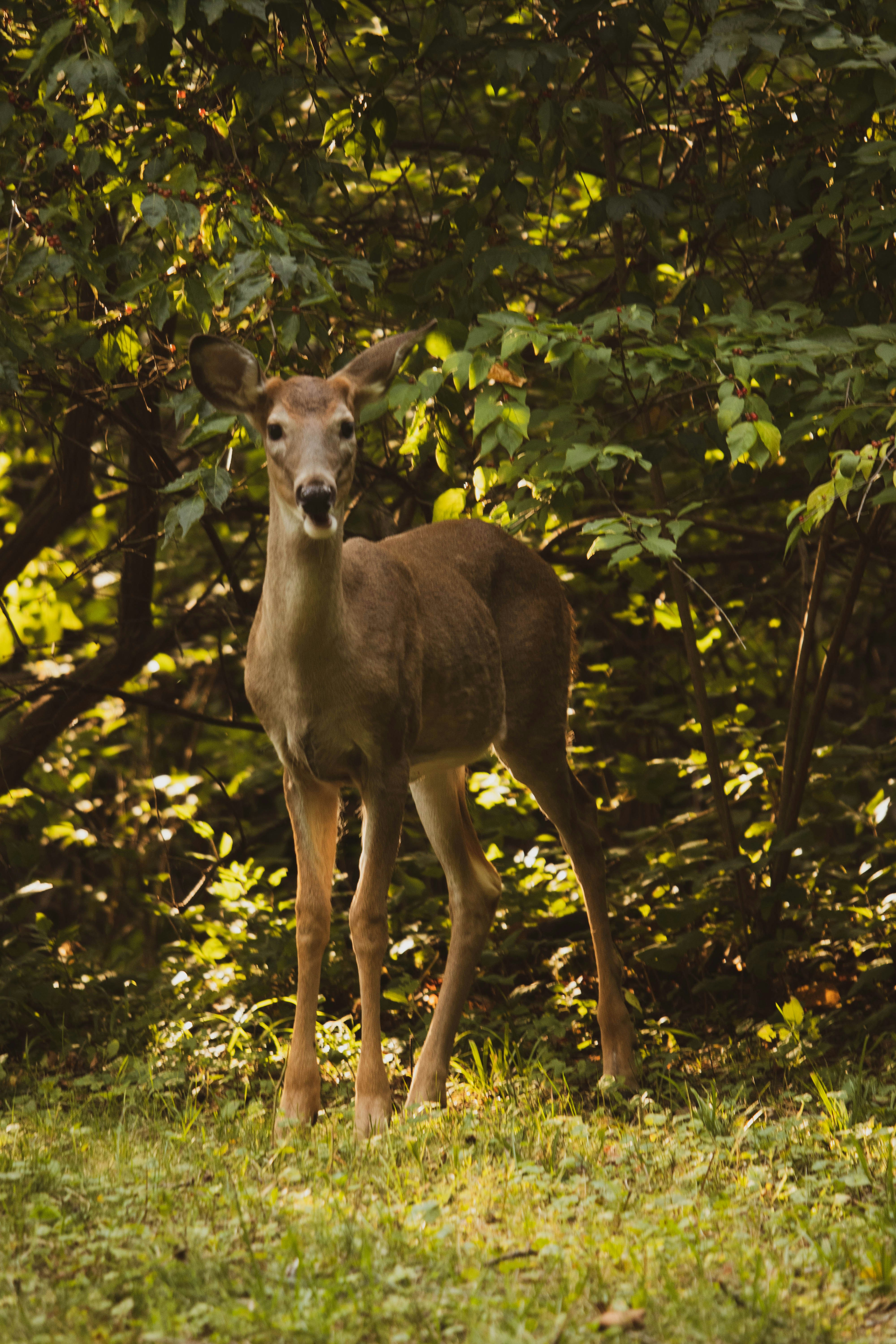 Photo by chrislevn07