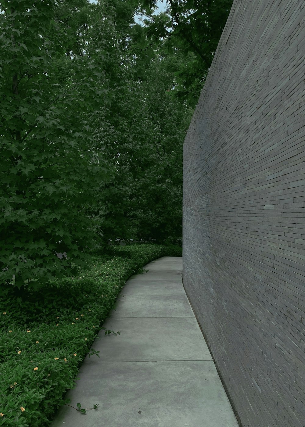 gray concrete pathway between green grass and trees