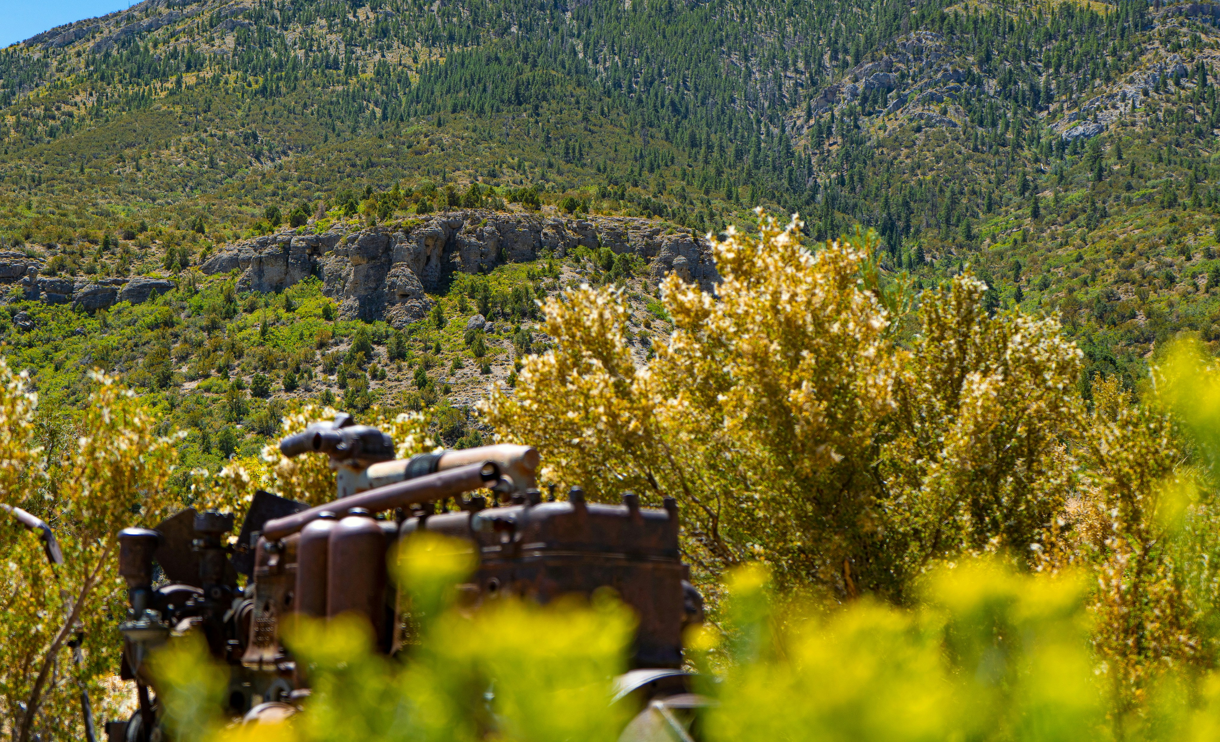 Which 6 hotels in North Las Vegas are greenest?