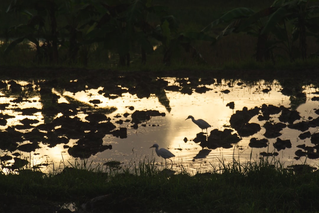 Wildlife photo spot Ubud Uluwatu Temple