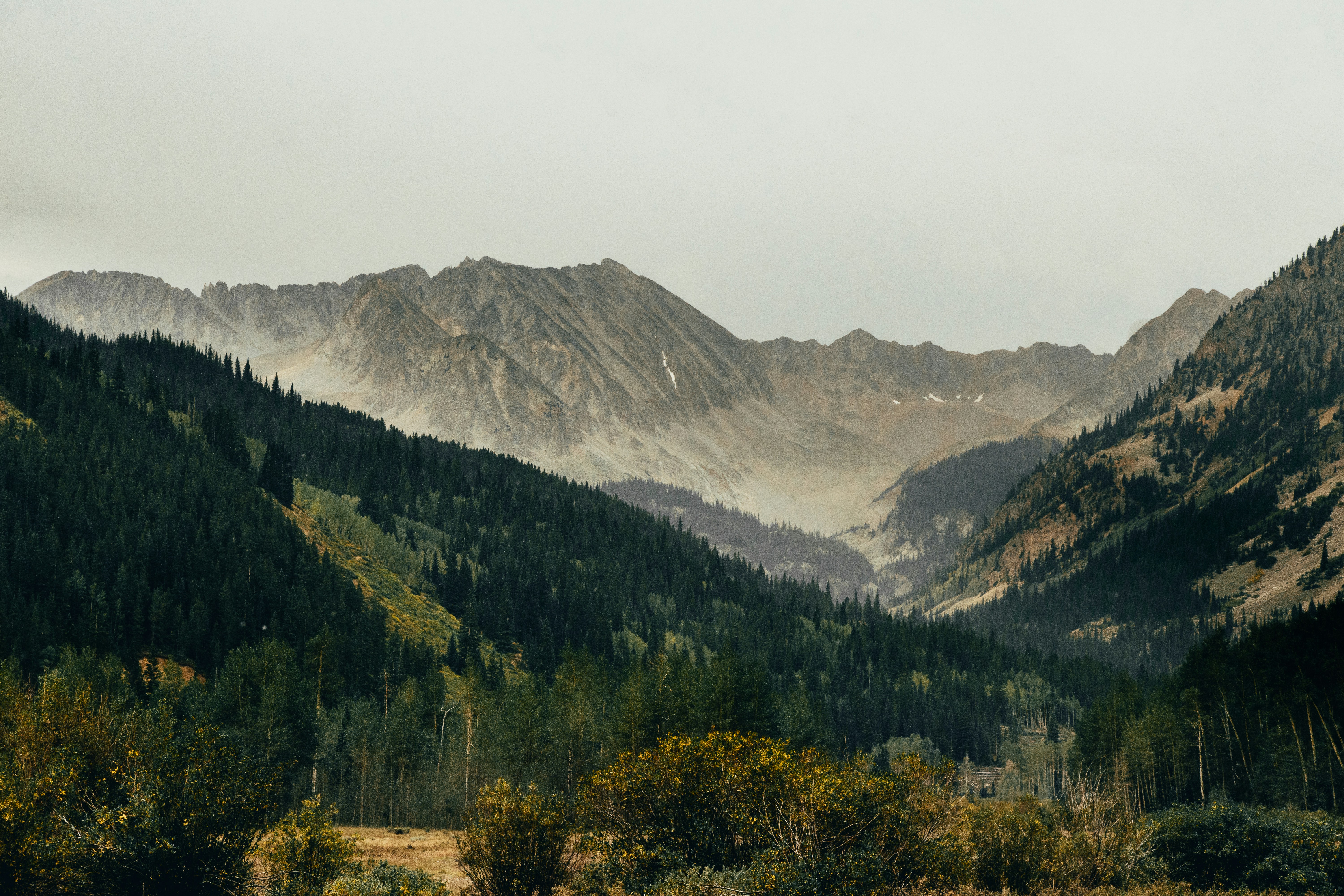 Photo by _benbracken