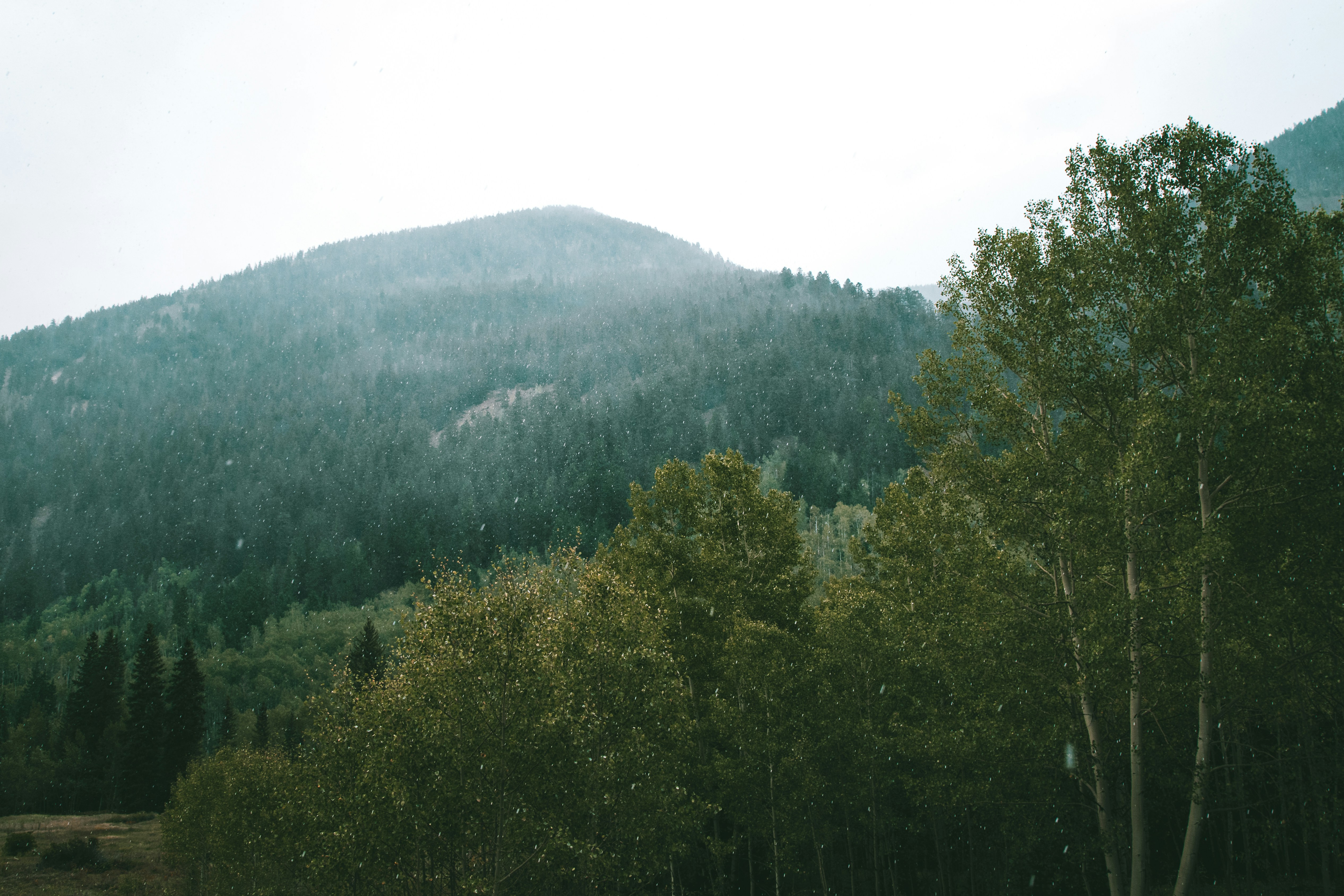 Photo by _benbracken