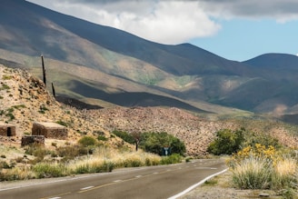 A traveler checking a map with a serene Mexican landscape in the background.