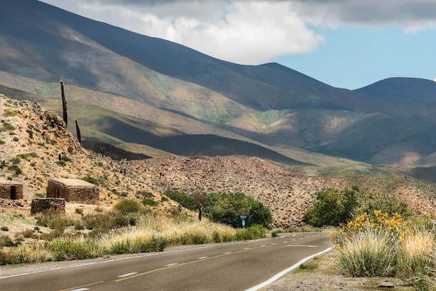 A traveler checking a map with a serene Mexican landscape in the background.