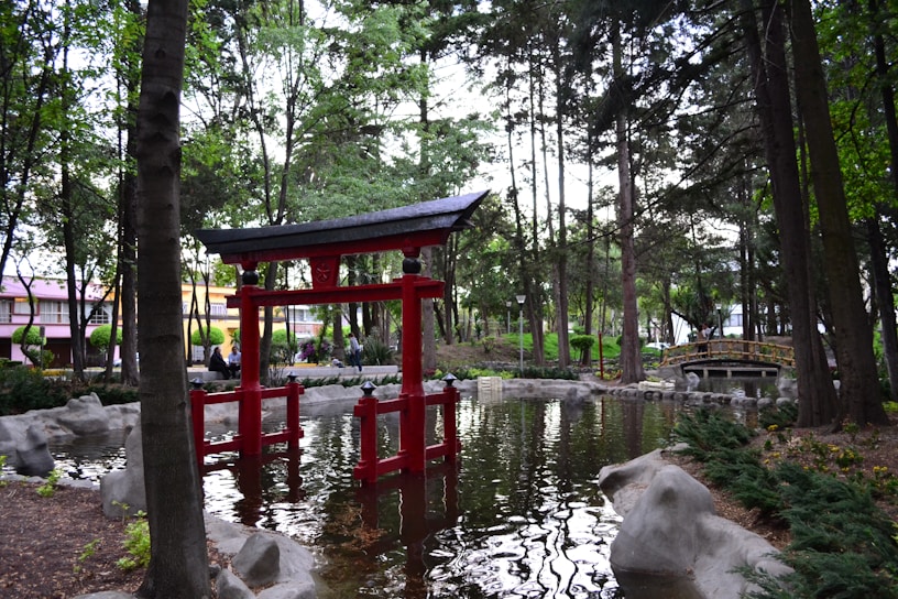 A serene traditional Japanese garden with a red torii gate framed by cherry blossoms in full bloom.