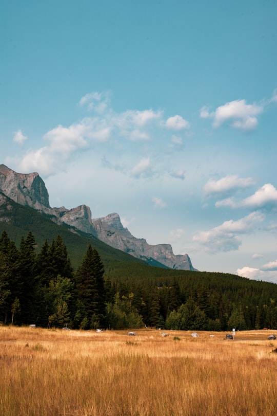 Quarry Lake things to do in Canmore