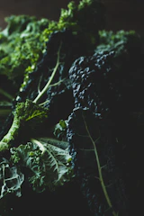 Behind-the-scenes shot of a photographer capturing fresh produce in natural light with a matte forest green backdrop.