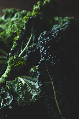Freshly cut kale and spinach leaves arranged on a dark surface with soft lighting.