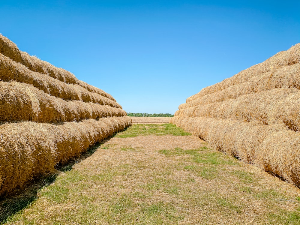 brown hays on green grass field under blue sky during daytime