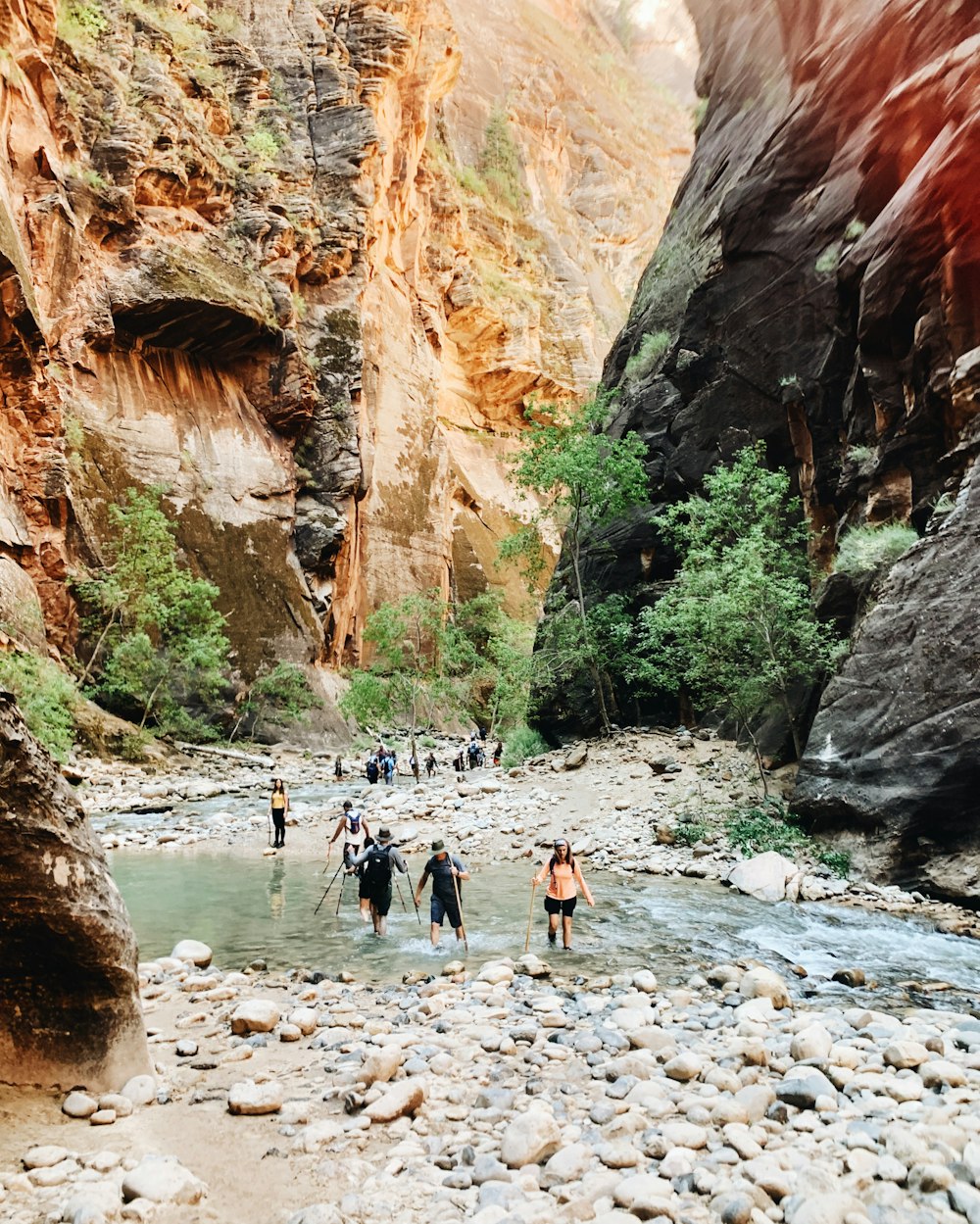 people in water between brown rock formation during daytime