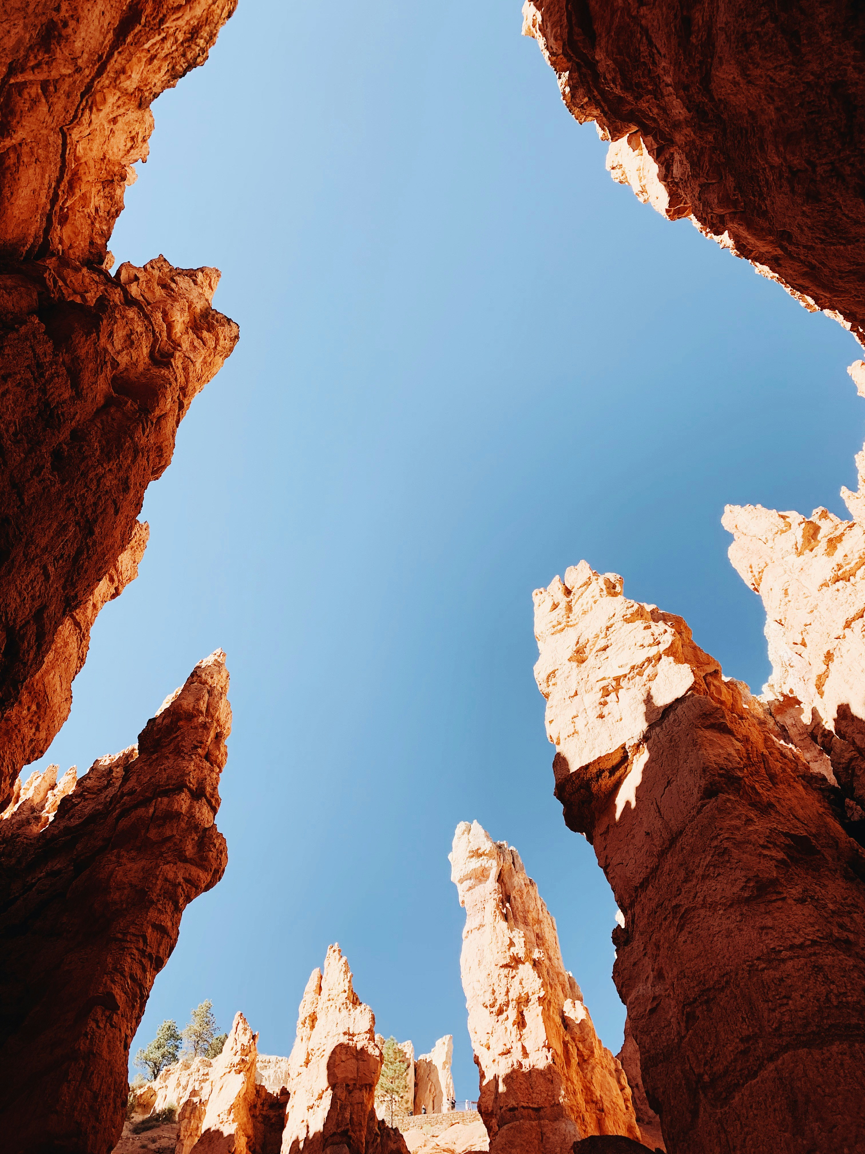 Photo by aesullivan2010