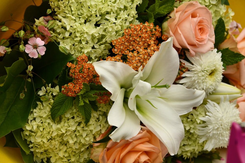 white and pink flowers on orange flower pot