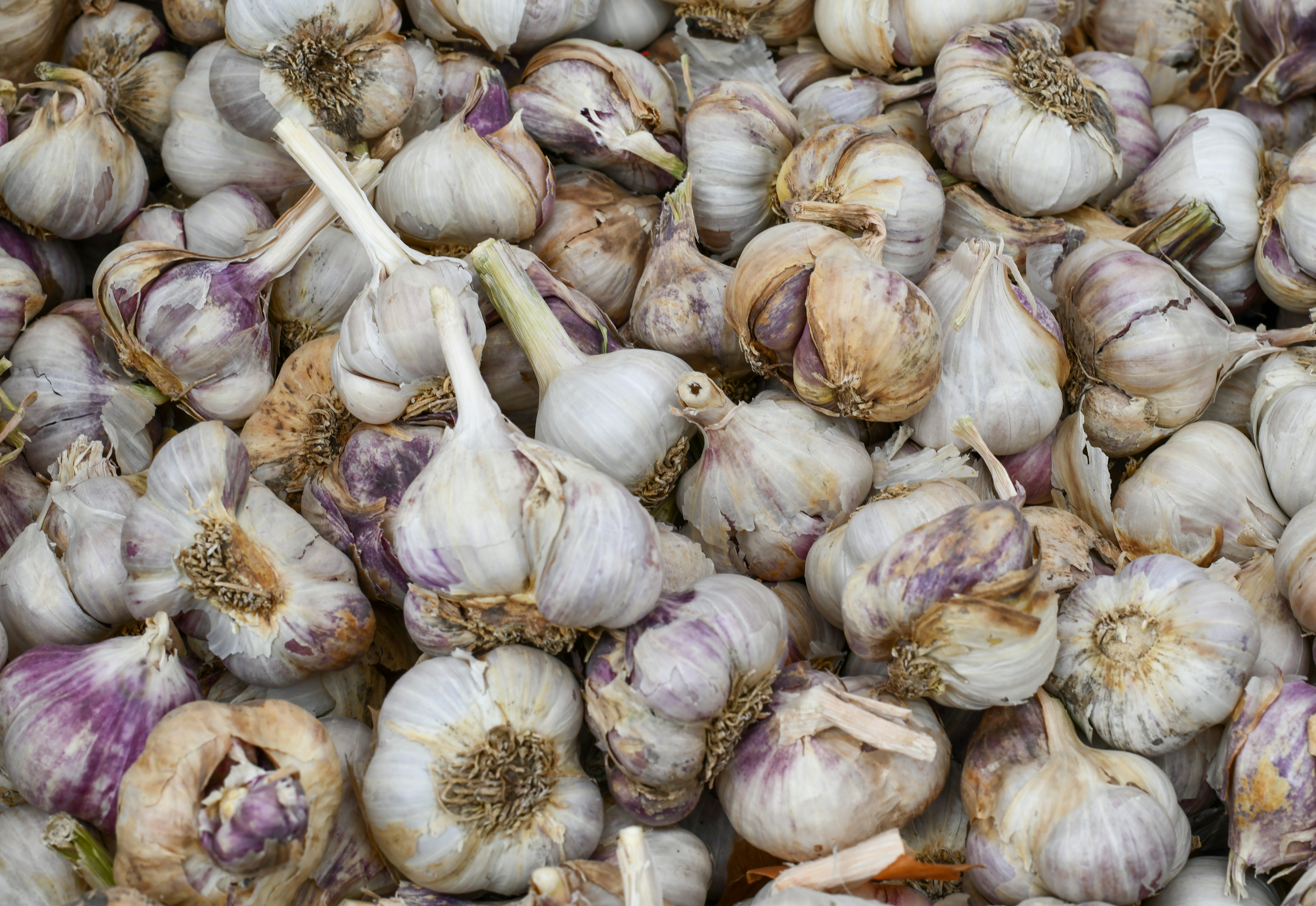 Photo by shelleypauls