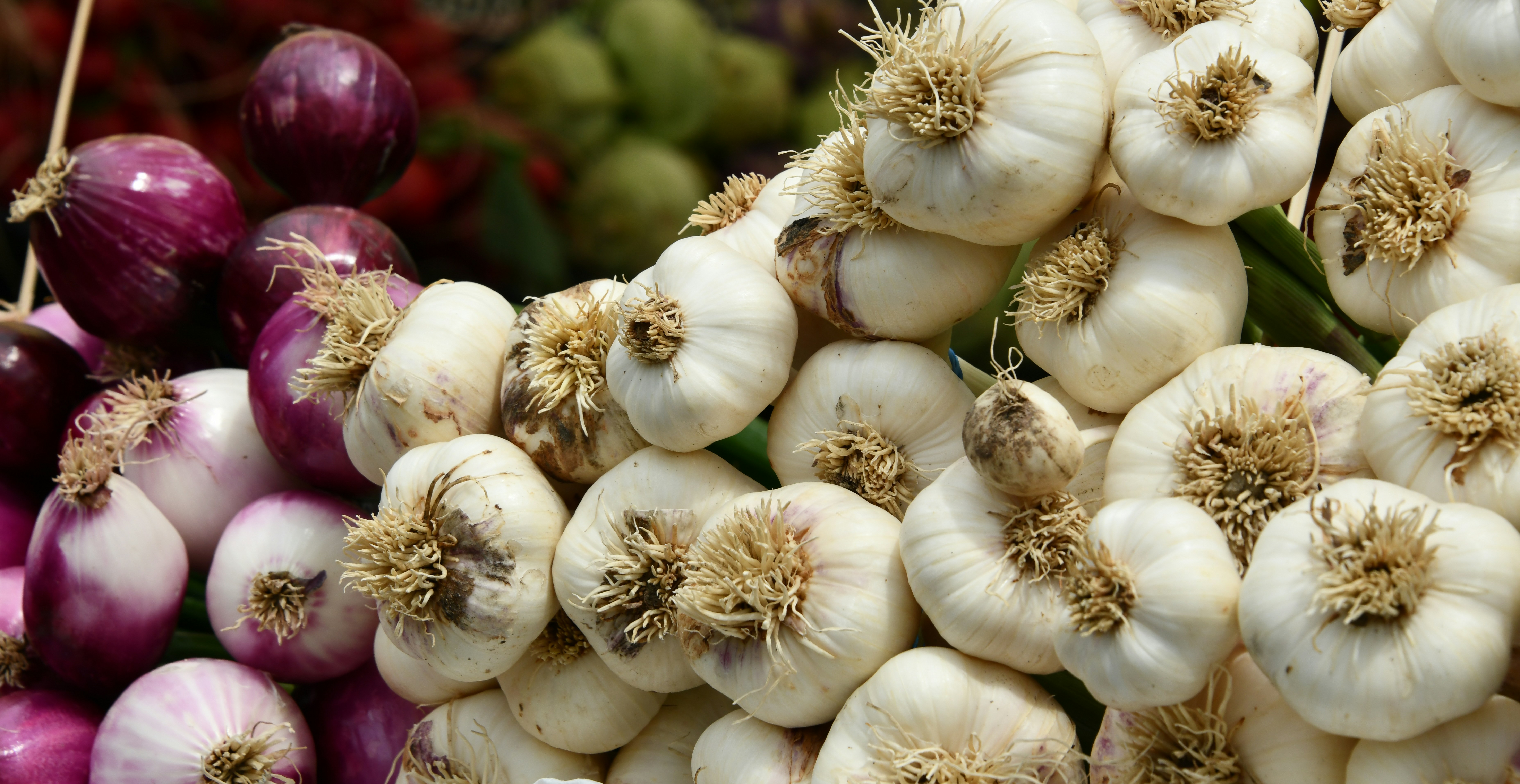 ail blanc sur textile violet